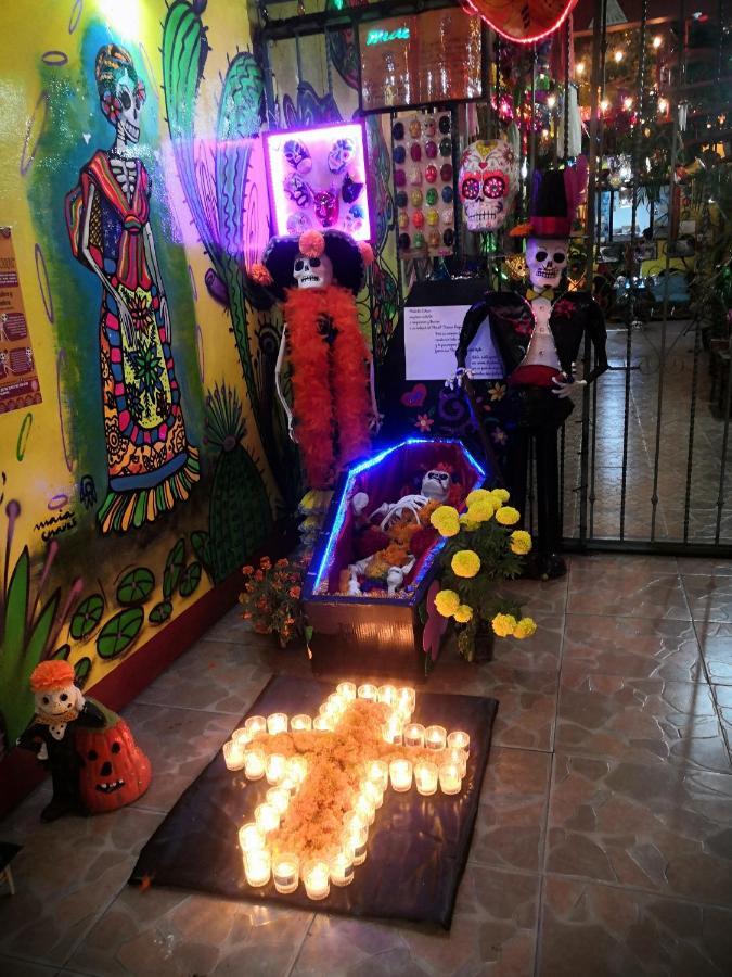 Hostal Oaxaca Magic المظهر الخارجي الصورة