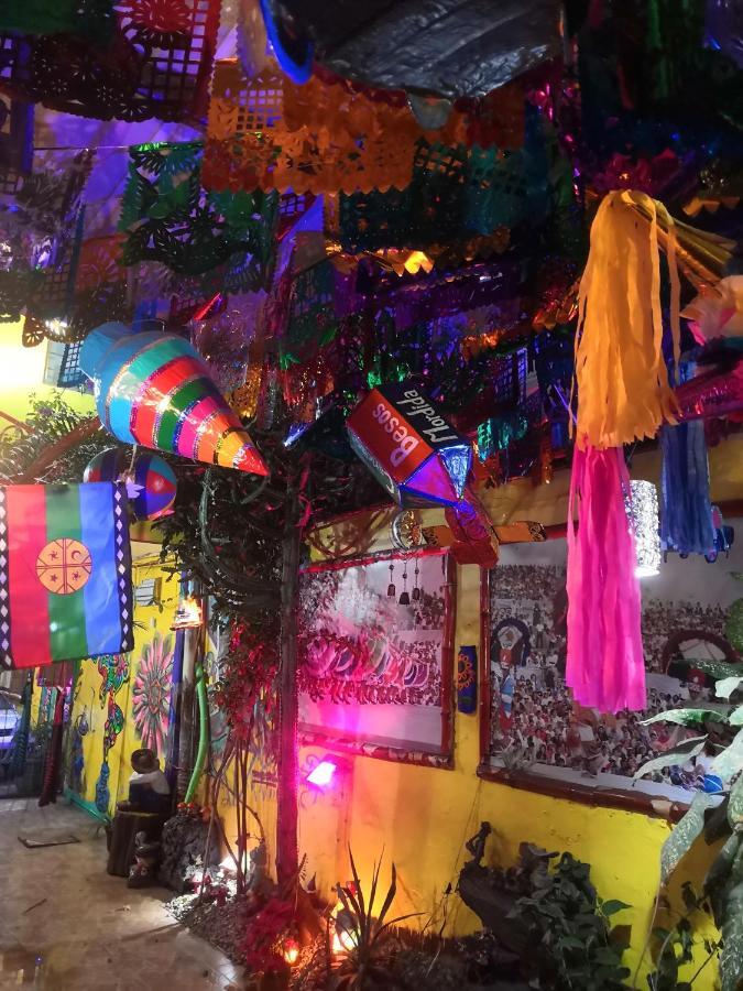 Hostal Oaxaca Magic المظهر الخارجي الصورة