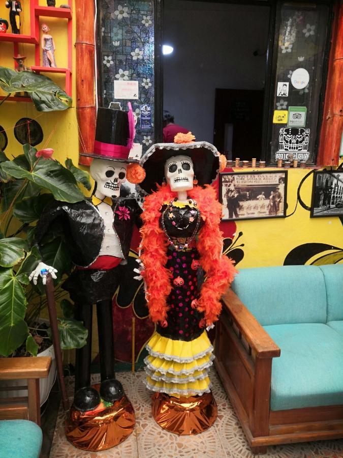Hostal Oaxaca Magic المظهر الخارجي الصورة