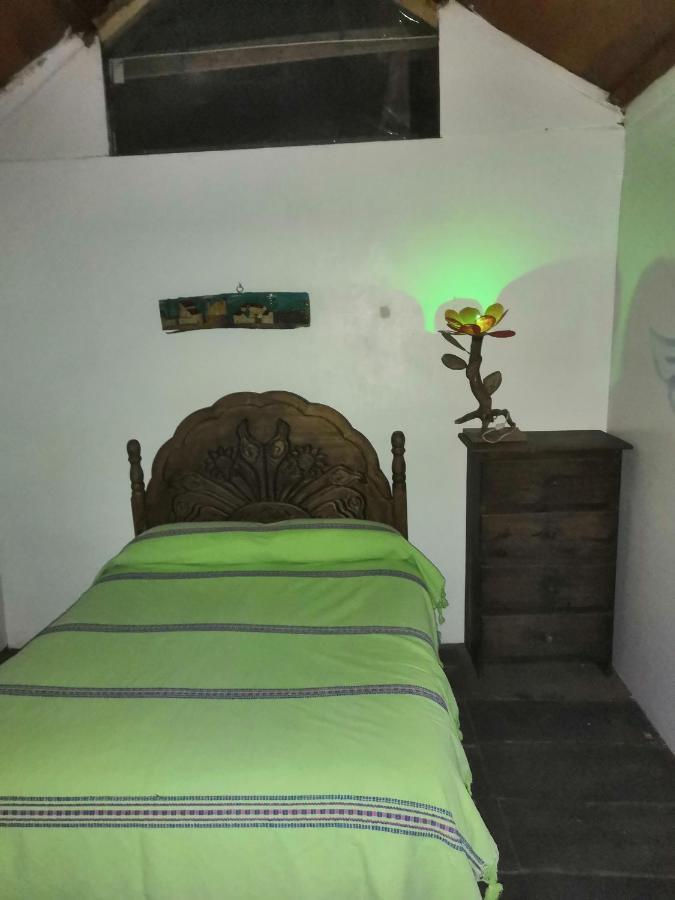 Hostal Oaxaca Magic المظهر الخارجي الصورة